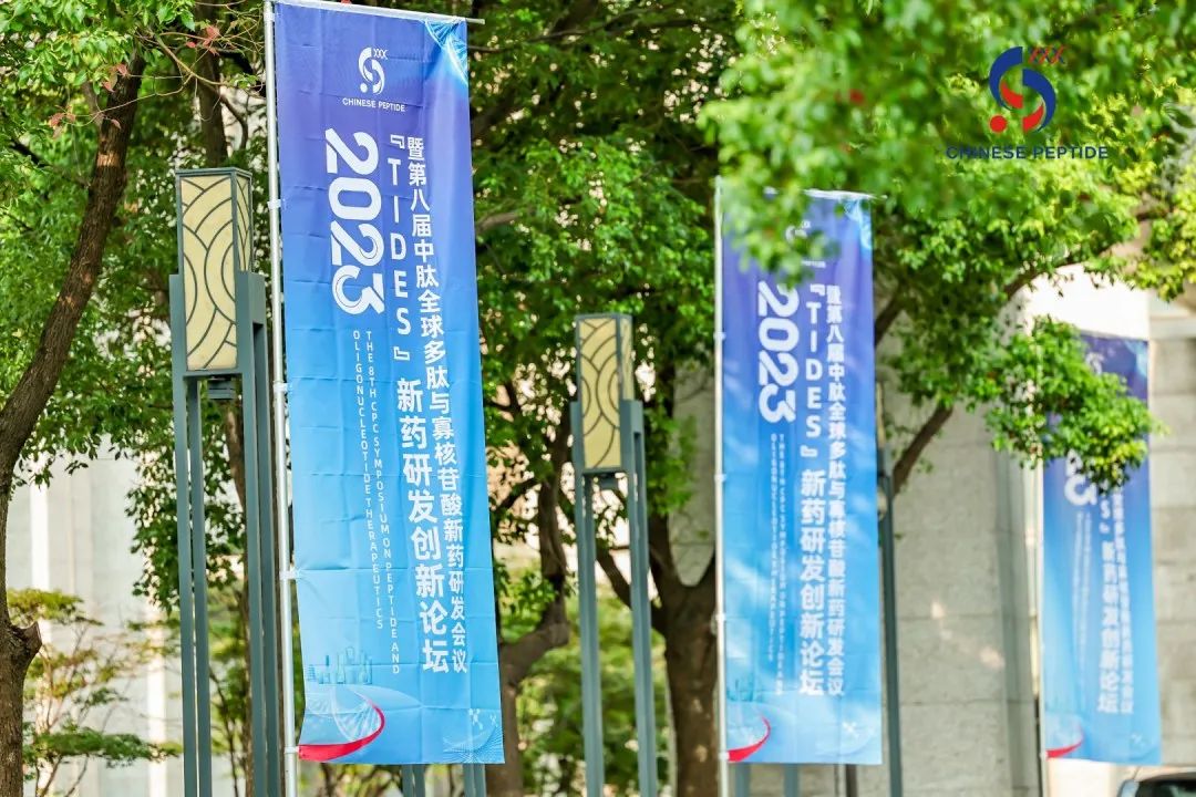 pexels-photo-3985166.jpeg 图片